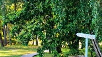 210906044814-pomiskis-vilniaus-raj.jpeg