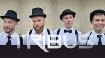 grupe-tribus-siauliai